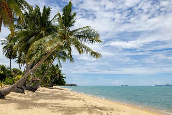 Comment organiser une visite des temples bouddhistes de Bagan, Myanmar : itinéraires et conseils ?
