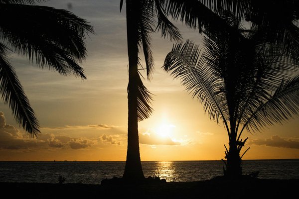 Où trouver une location de vacances en Bretagne avec des cours de cuisine et des visites de marchés?